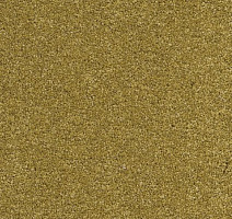 Ковролин AW Vivendi Punch 54 фото 1 | FLOORDEALER